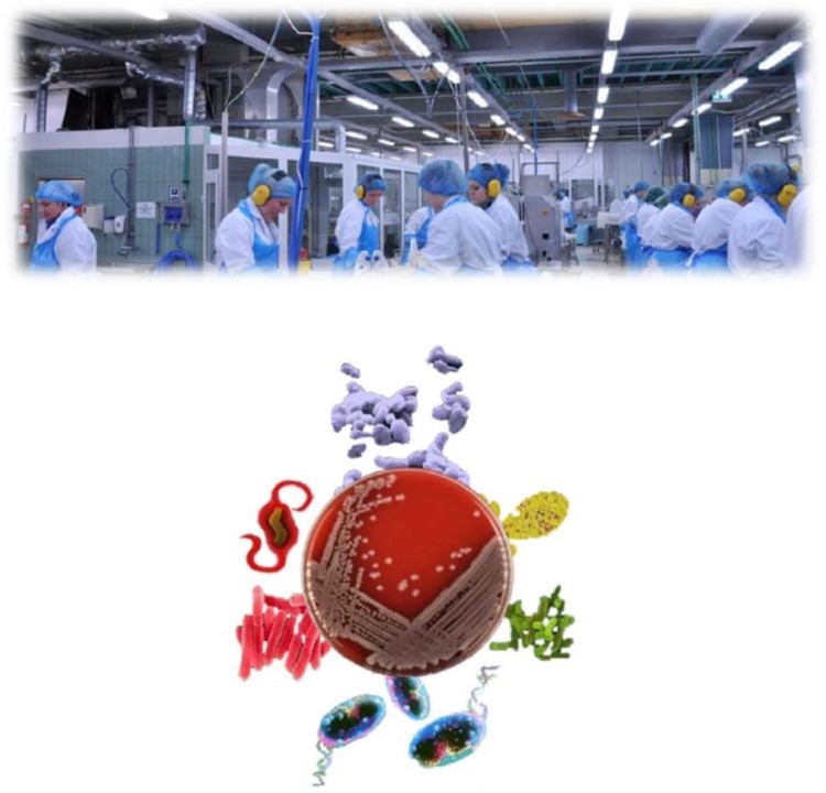 Εικόνα επιλογής